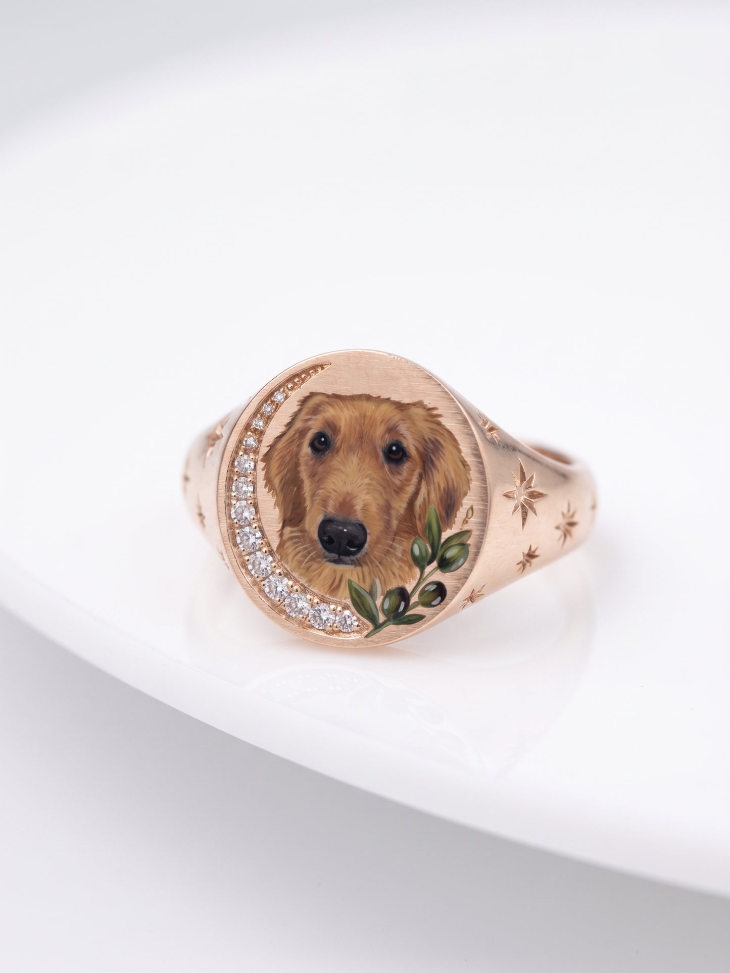 Custom pet portrait signet ring, hand painted enamel in solid gold, view 6