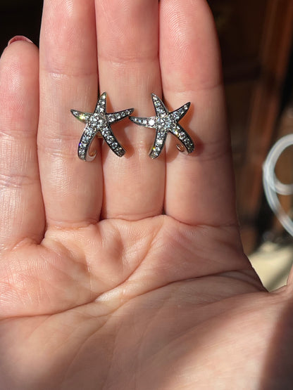 Starfish Earrings, view 11