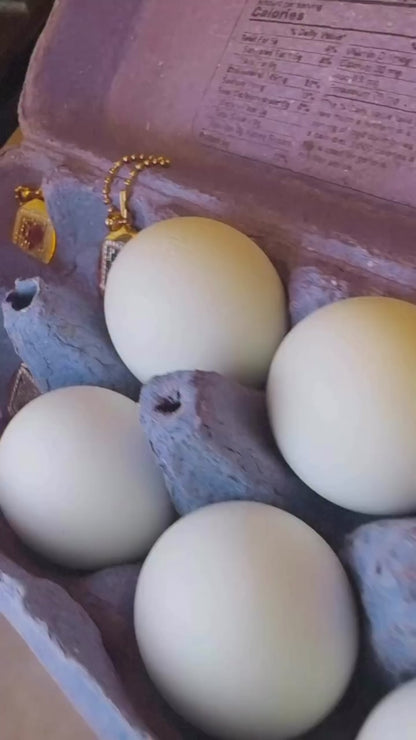 Pet Egg Pendant with Moissanites and Gemstones on Ball Chain, 18K Gold Filled, Ready to Ship
