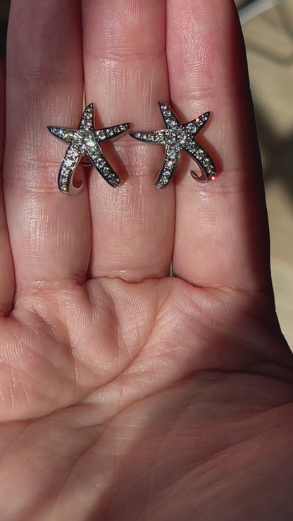 Starfish Earrings